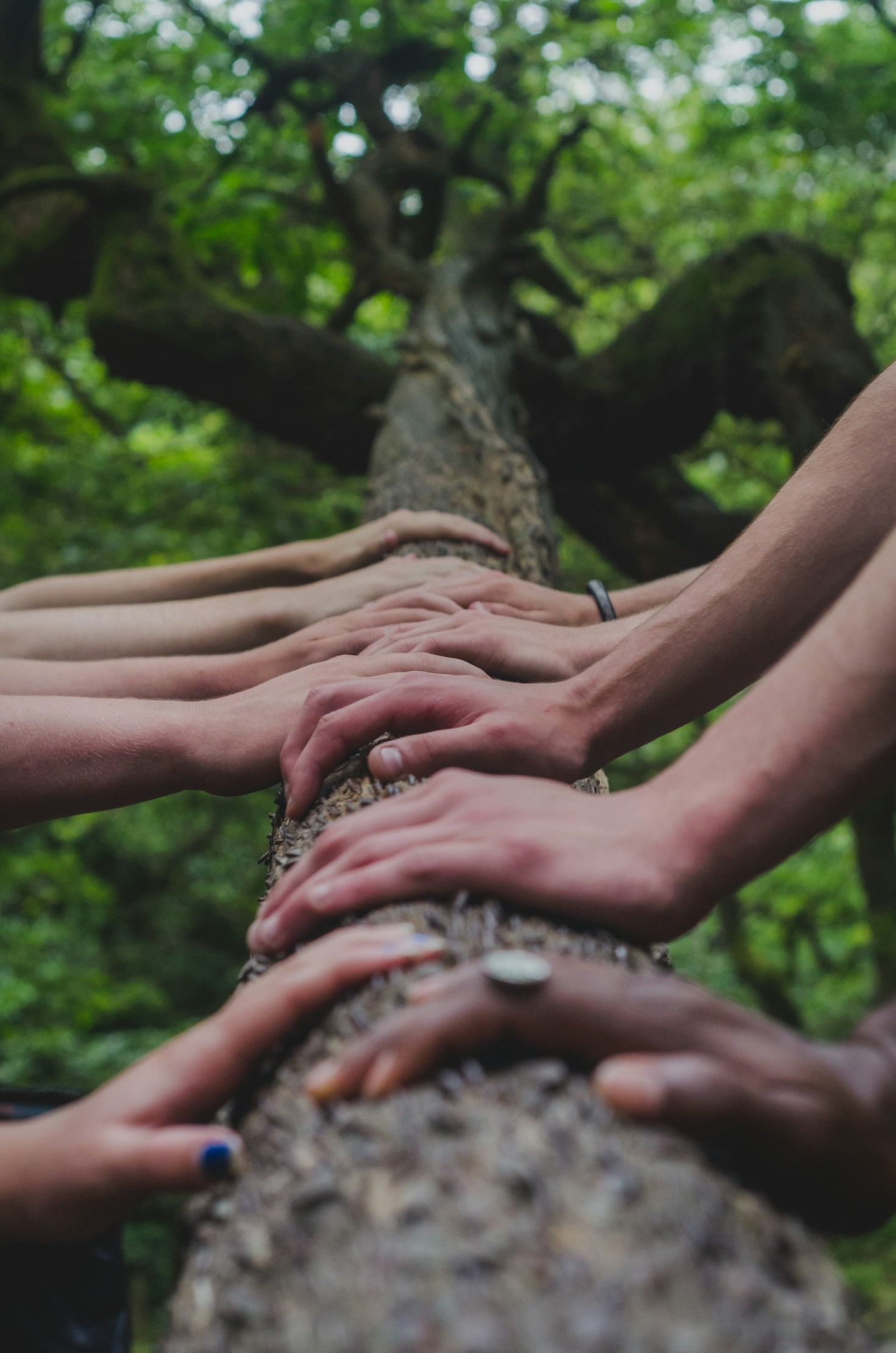 Stories Of Transformation From Local Partners